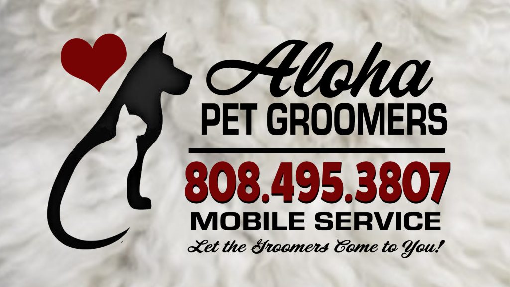 Gorgeous Aloha Dog Groomer View Illustration Gorgeous Aloha Dog Groomer View Illustration